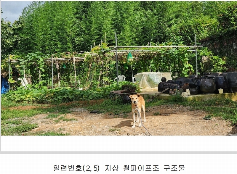 2024타경101946 경상남도 김해시 진례면 고모리 산163-5 임야 경매 이미지