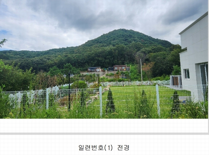 2024타경101946 경상남도 김해시 진례면 고모리 산163-5 임야 경매 이미지