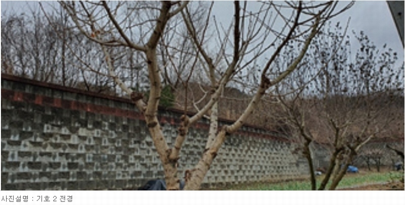 2024타경101946 경상남도 김해시 진례면 고모리 산163-5 임야 경매 이미지