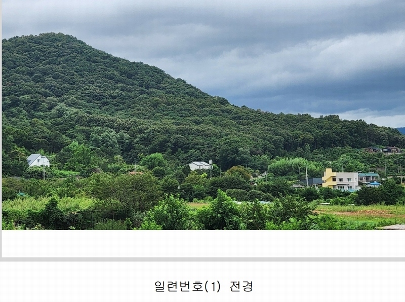 2024타경101946 경상남도 김해시 진례면 고모리 산163-5 임야 경매 이미지