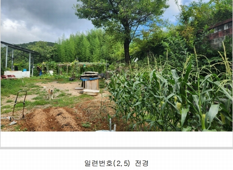 2024타경101946 경상남도 김해시 진례면 고모리 산163-5 임야 경매 이미지