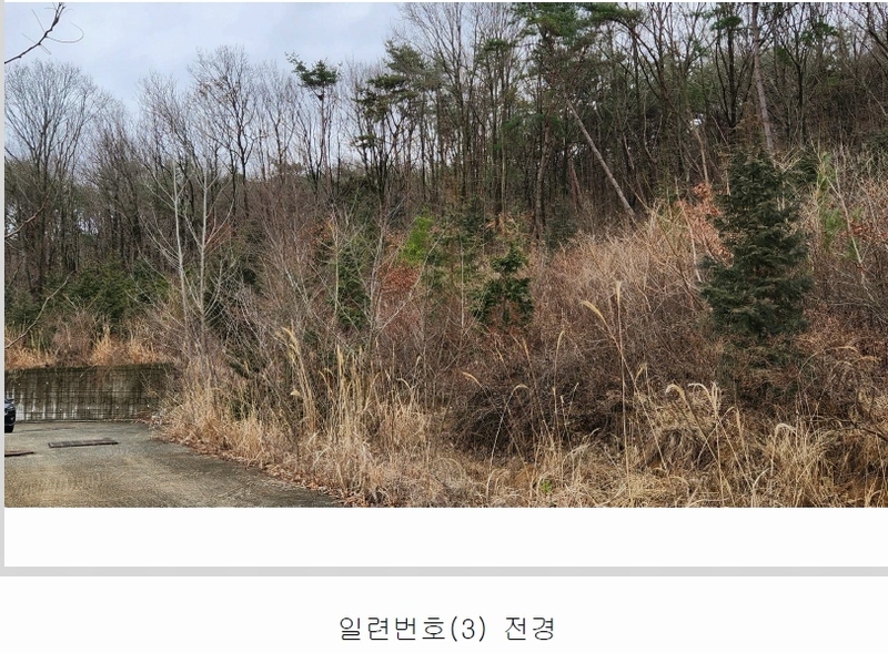 2024타경101946 경상남도 김해시 진례면 고모리 산163-5 임야 경매 이미지