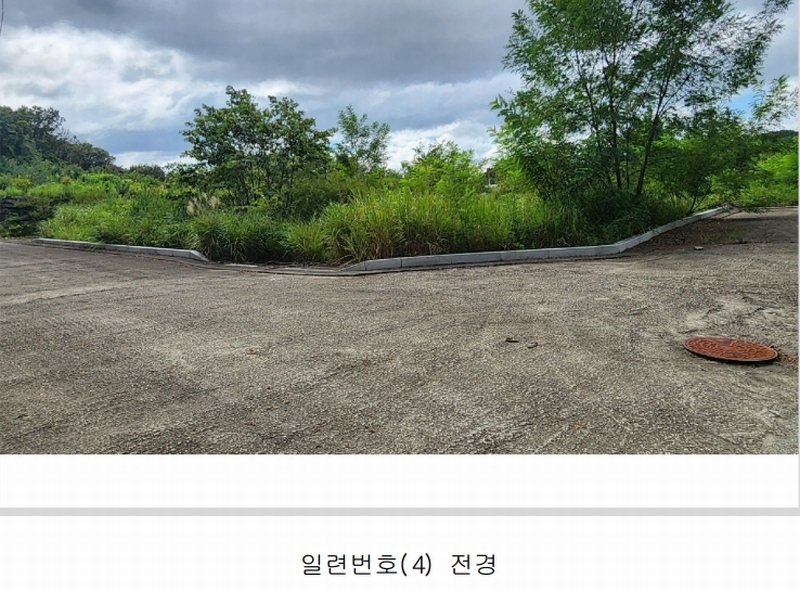 2024타경101946 경상남도 김해시 진례면 고모리 산163-5 임야 경매 이미지