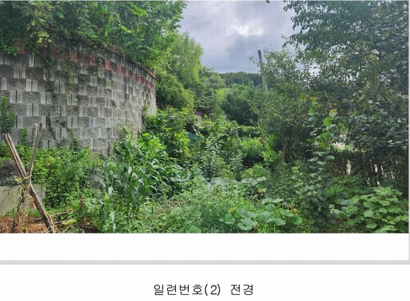 2024타경101946 경상남도 김해시 진례면 고모리 산163-5 임야 경매 이미지