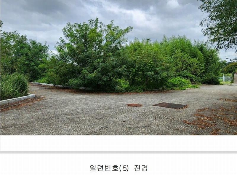 2024타경101946 경상남도 김해시 진례면 고모리 산163-5 임야 경매 이미지