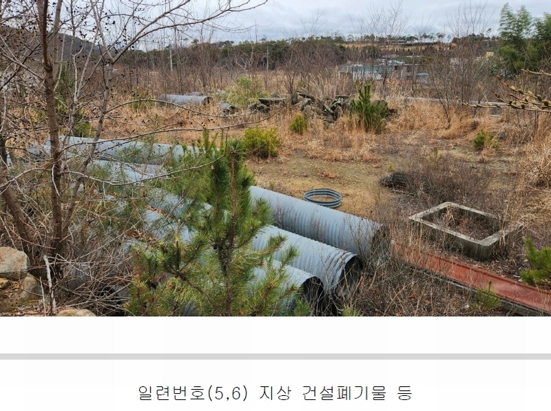 2024타경101946 경상남도 김해시 진례면 고모리 산163-5 임야 경매 이미지