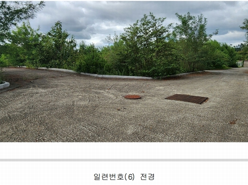 2024타경101946 경상남도 김해시 진례면 고모리 산163-5 임야 경매 이미지