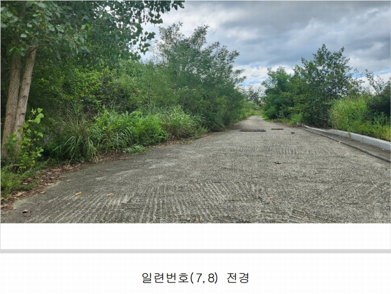2024타경101946 경상남도 김해시 진례면 고모리 산163-5 임야 경매 이미지