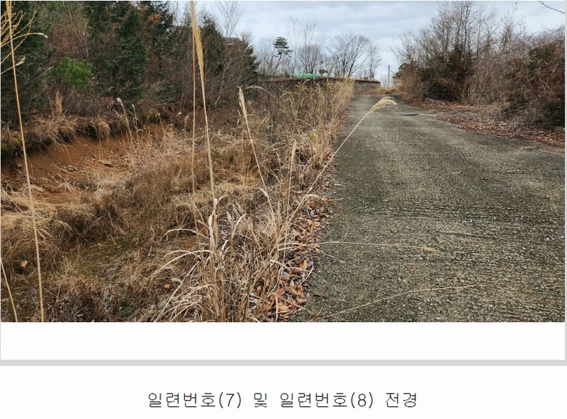 2024타경101946 경상남도 김해시 진례면 고모리 산163-5 임야 경매 이미지
