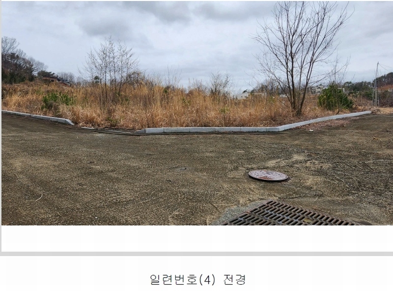 2024타경101946 경상남도 김해시 진례면 고모리 산163-5 임야 경매 이미지