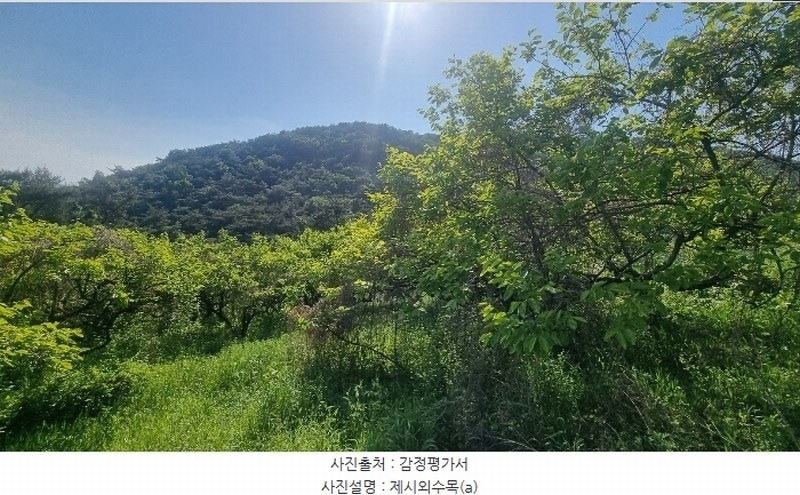 2024타경104426 경상남도 김해시 한림면 안곡리 산17 임야 경매 이미지