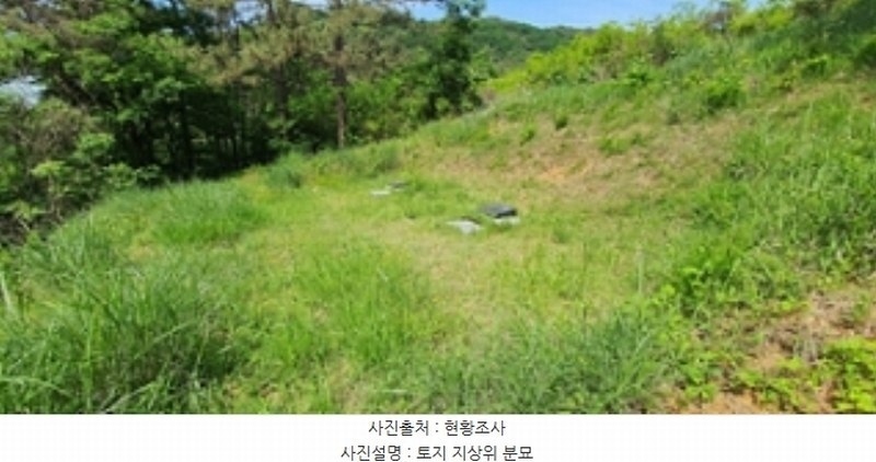 2024타경104426 경상남도 김해시 한림면 안곡리 산17 임야 경매 이미지