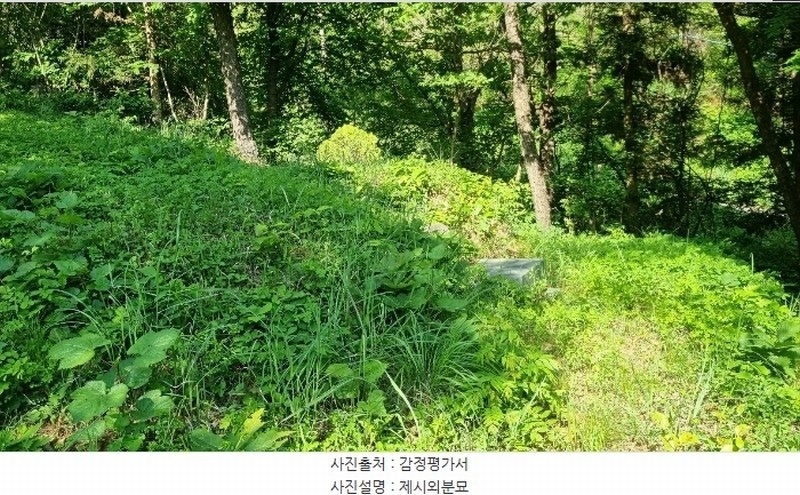 2024타경104426 경상남도 김해시 한림면 안곡리 산17 임야 경매 이미지