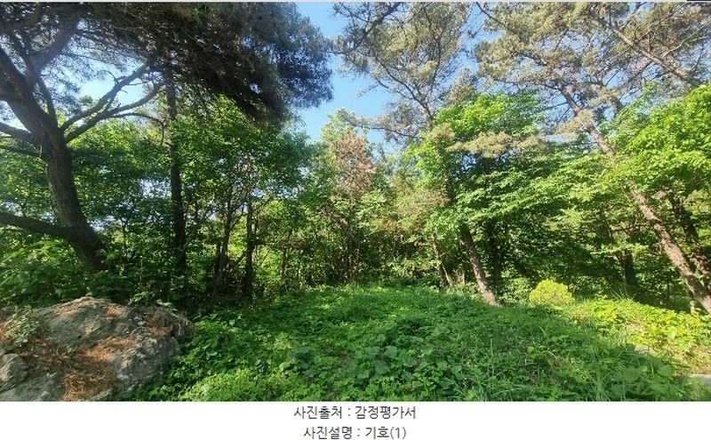 2024타경104426 경상남도 김해시 한림면 안곡리 산17 임야 경매 이미지
