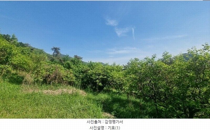 2024타경104426 경상남도 김해시 한림면 안곡리 산17 임야 경매 이미지