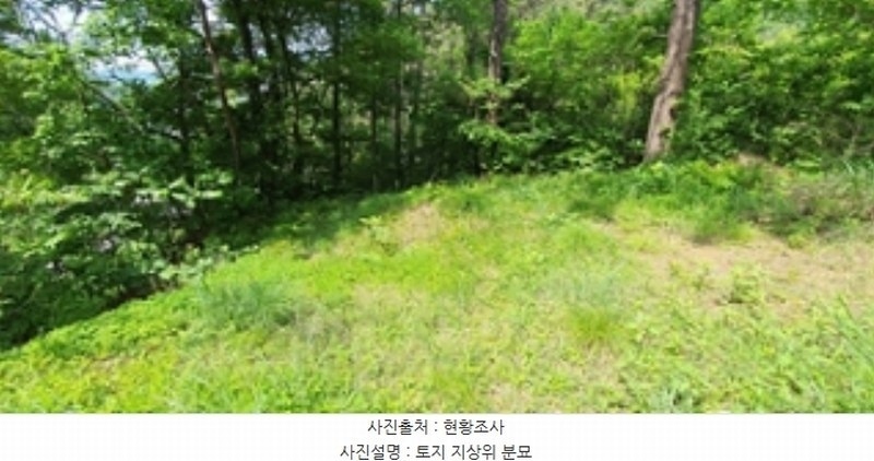 2024타경104426 경상남도 김해시 한림면 안곡리 산17 임야 경매 이미지