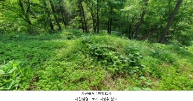 2024타경104426 경상남도 김해시 한림면 안곡리 산17 임야 경매 이미지