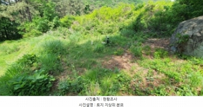 2024타경104426 경상남도 김해시 한림면 안곡리 산17 임야 경매 이미지