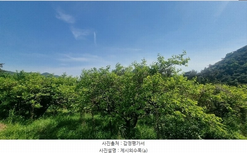 2024타경104426 경상남도 김해시 한림면 안곡리 산17 임야 경매 이미지