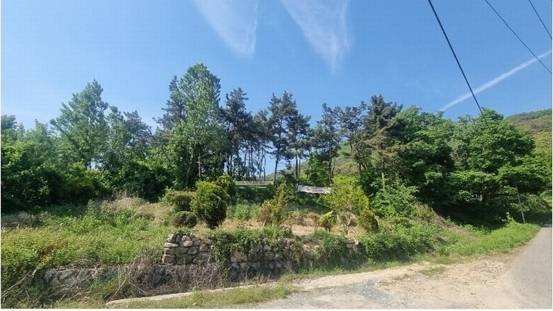 2024타경104426 경상남도 김해시 한림면 안곡리 산17 임야 경매 이미지