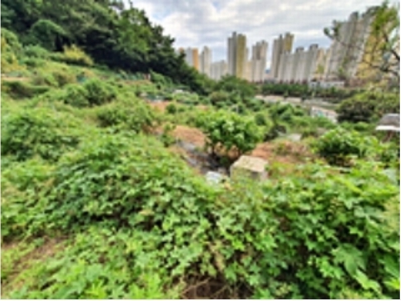 2024타경110742 경상남도 창원시 진해구 용원동 888 농지 경매 이미지