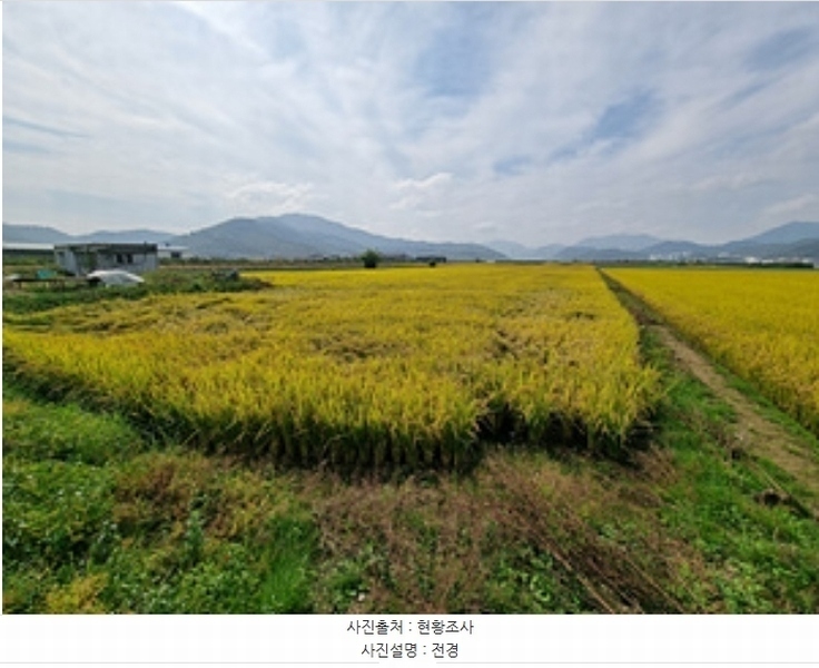 2024타경113444 경상남도 창원시 의창구 북면 신촌리 1502-8 농지 경매 이미지