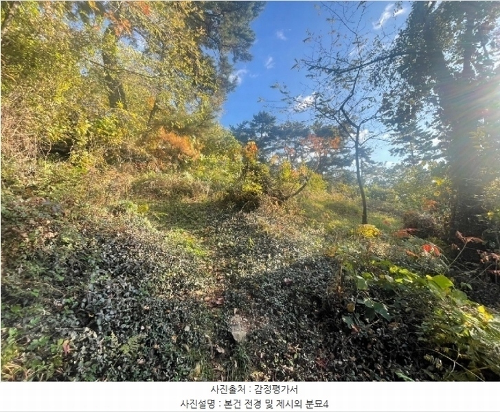2024타경115259 경상남도 김해시 이동 산18 임야 경매 이미지