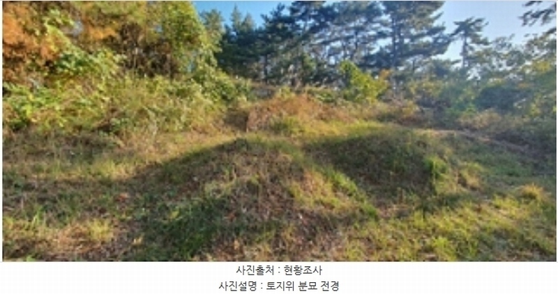 2024타경115259 경상남도 김해시 이동 산18 임야 경매 이미지