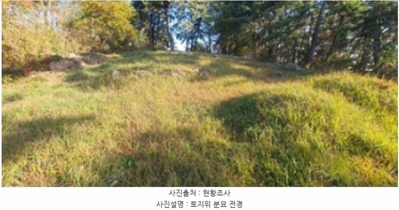 2024타경115259 경상남도 김해시 이동 산18 임야 경매 이미지