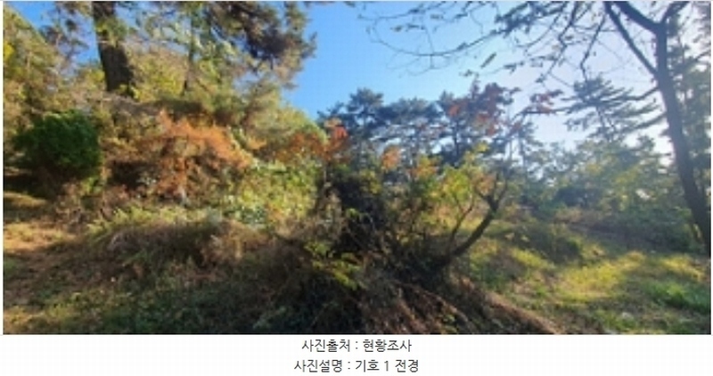 2024타경115259 경상남도 김해시 이동 산18 임야 경매 이미지