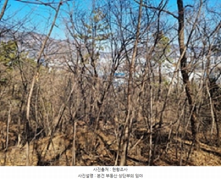 2025타경10320 경상남도 창원시 의창구 반계동 산40 임야 경매 이미지