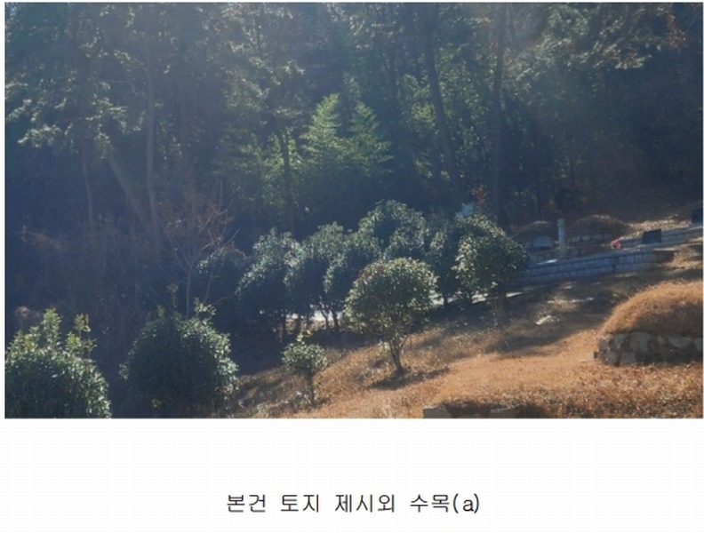 2025타경10320 경상남도 창원시 의창구 반계동 산40 임야 경매 이미지