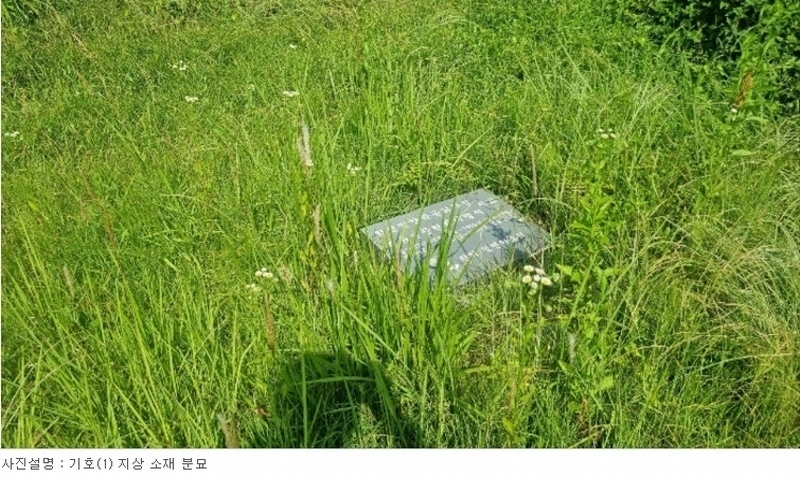 2024타경106941 경상남도 창원시 의창구 동읍 월잠리 341 농지 경매 이미지