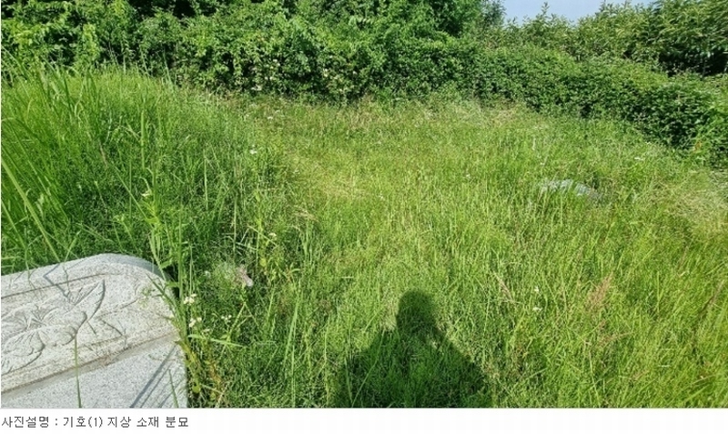 2024타경106941 경상남도 창원시 의창구 동읍 월잠리 341 농지 경매 이미지