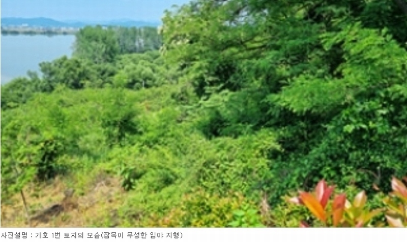 2024타경106941 경상남도 창원시 의창구 동읍 월잠리 341 농지 경매 이미지