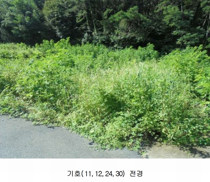 2024타경110735 경상남도 김해시 외동 1058-5 농지 경매 이미지