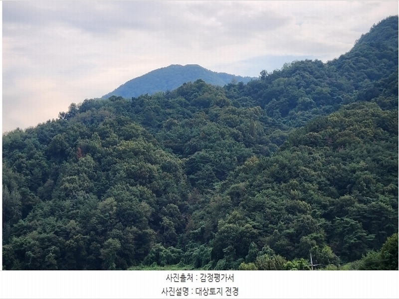 2024타경111684 경상남도 창원시 의창구 북면 내곡리 산255-3 임야 경매 이미지