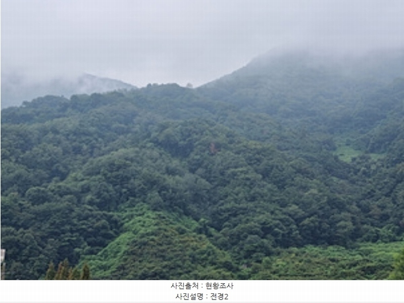 2024타경111684 경상남도 창원시 의창구 북면 내곡리 산255-3 임야 경매 이미지