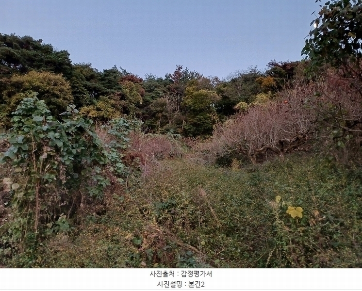 2024타경114867 경상남도 창원시 의창구 북면 내곡리 805 농지 경매 이미지