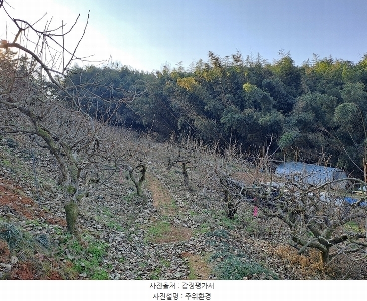 2024타경116047 경상남도 창원시 의창구 동읍 월잠리 16 농지 경매 이미지
