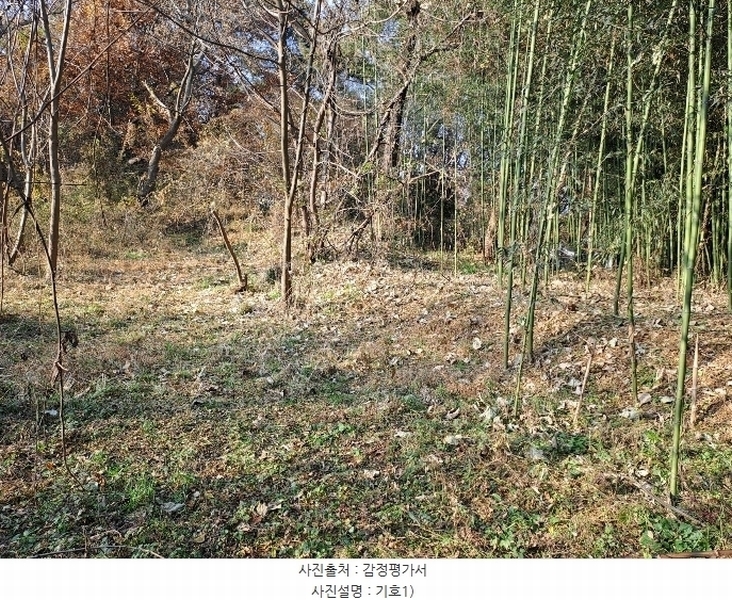 2024타경116047 경상남도 창원시 의창구 동읍 월잠리 16 농지 경매 이미지