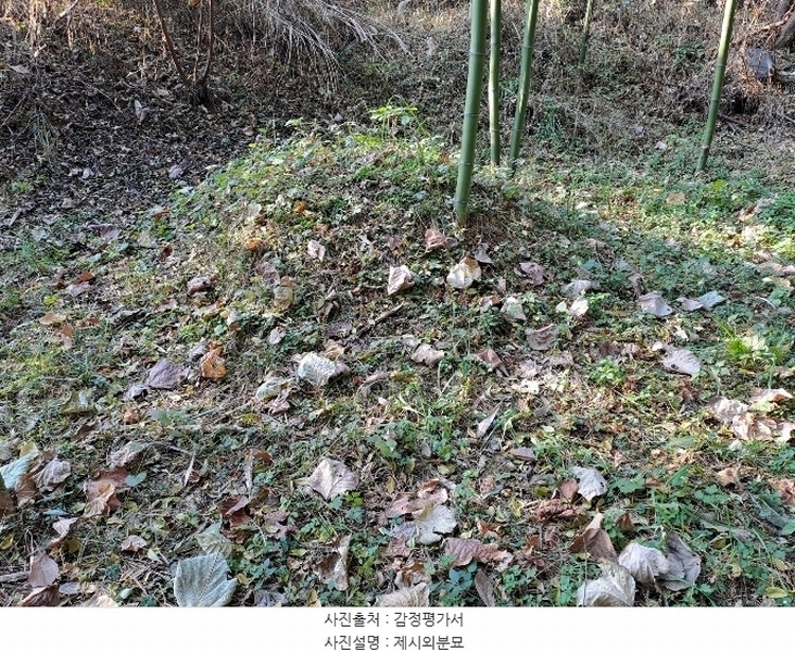 2024타경116047 경상남도 창원시 의창구 동읍 월잠리 16 농지 경매 이미지