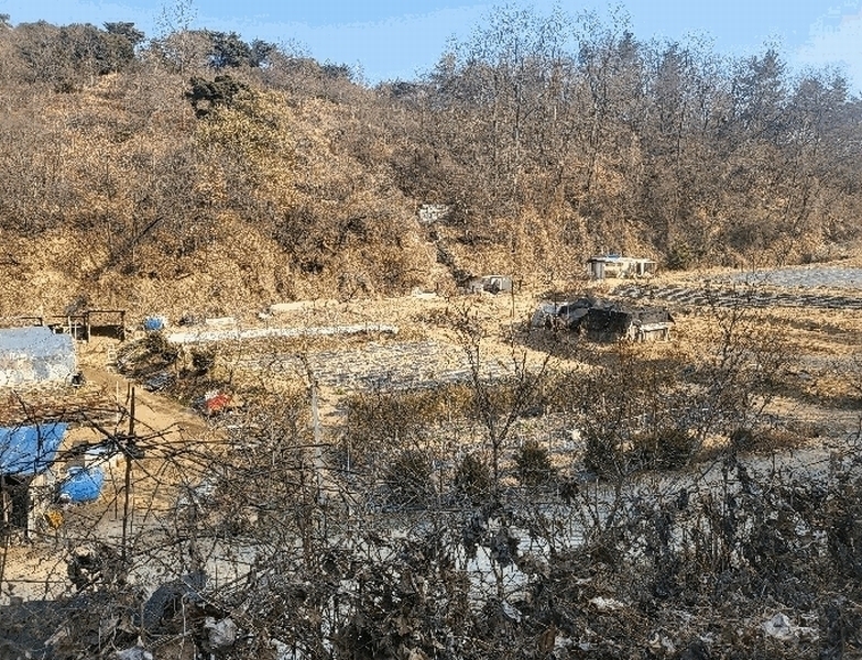 2024타경116856 경상남도 창원시 의창구 북면 외산리 1530 농지 경매 이미지