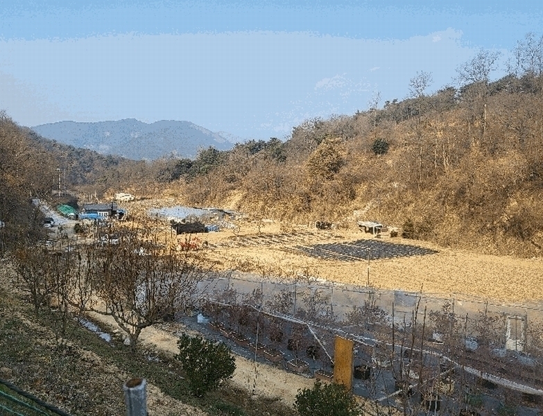 2024타경116856 경상남도 창원시 의창구 북면 외산리 1530 농지 경매 이미지