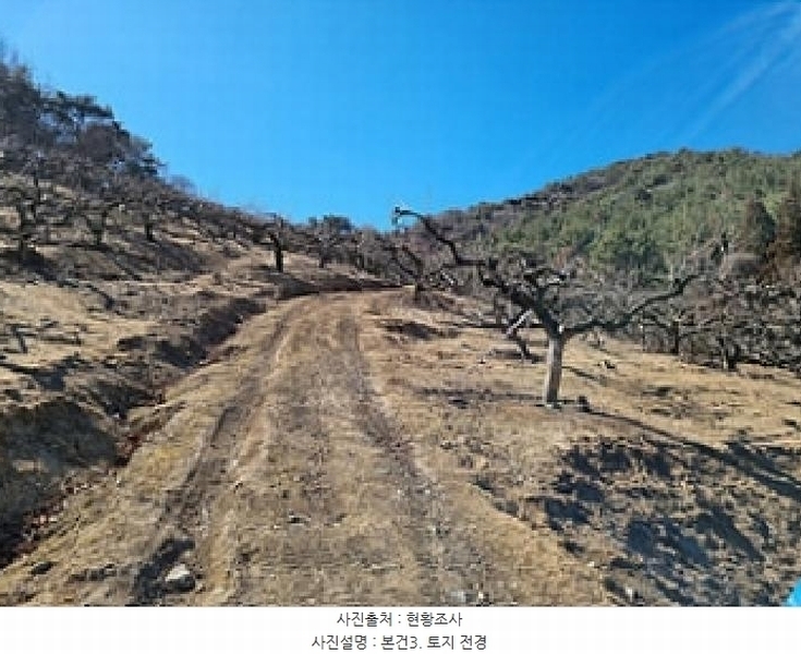 2025타경10641 경상남도 창원시 의창구 동읍 봉곡리 산108-2 과수원 경매 이미지