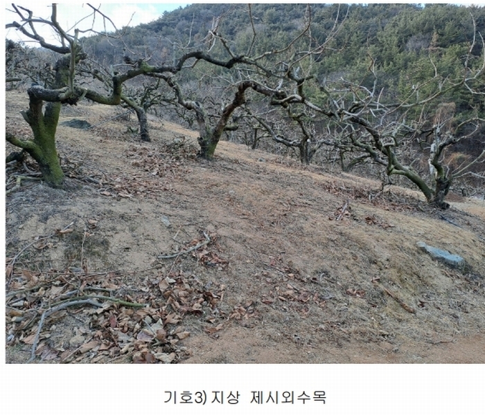 2025타경10641 경상남도 창원시 의창구 동읍 봉곡리 산108-2 과수원 경매 이미지