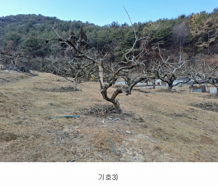 2025타경10641 경상남도 창원시 의창구 동읍 봉곡리 산108-2 과수원 경매 이미지