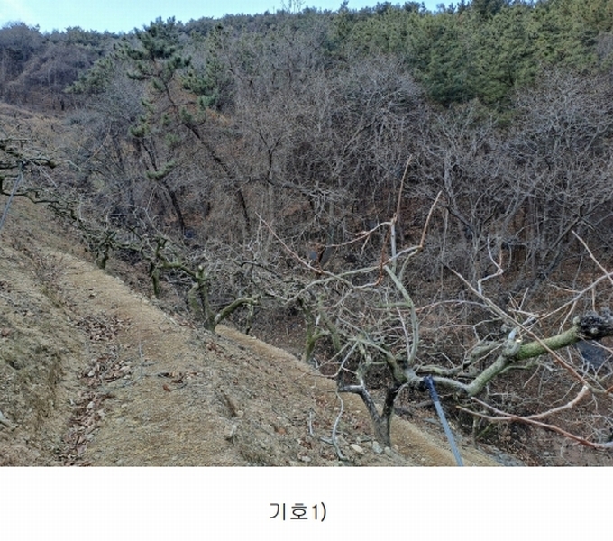 2025타경10641 경상남도 창원시 의창구 동읍 봉곡리 산108-2 과수원 경매 이미지