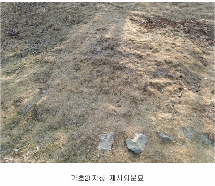 2025타경10641 경상남도 창원시 의창구 동읍 봉곡리 산108-2 과수원 경매 이미지