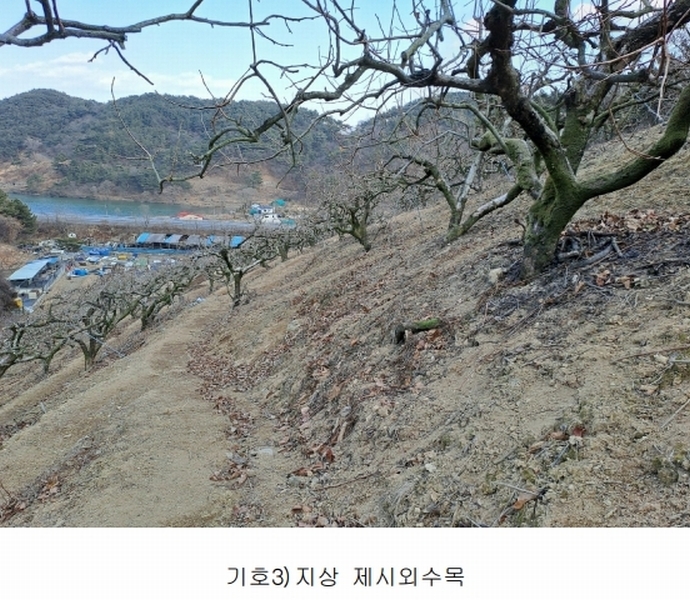 2025타경10641 경상남도 창원시 의창구 동읍 봉곡리 산108-2 과수원 경매 이미지